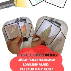 Taskulambimäng: talvised loogilised paarid