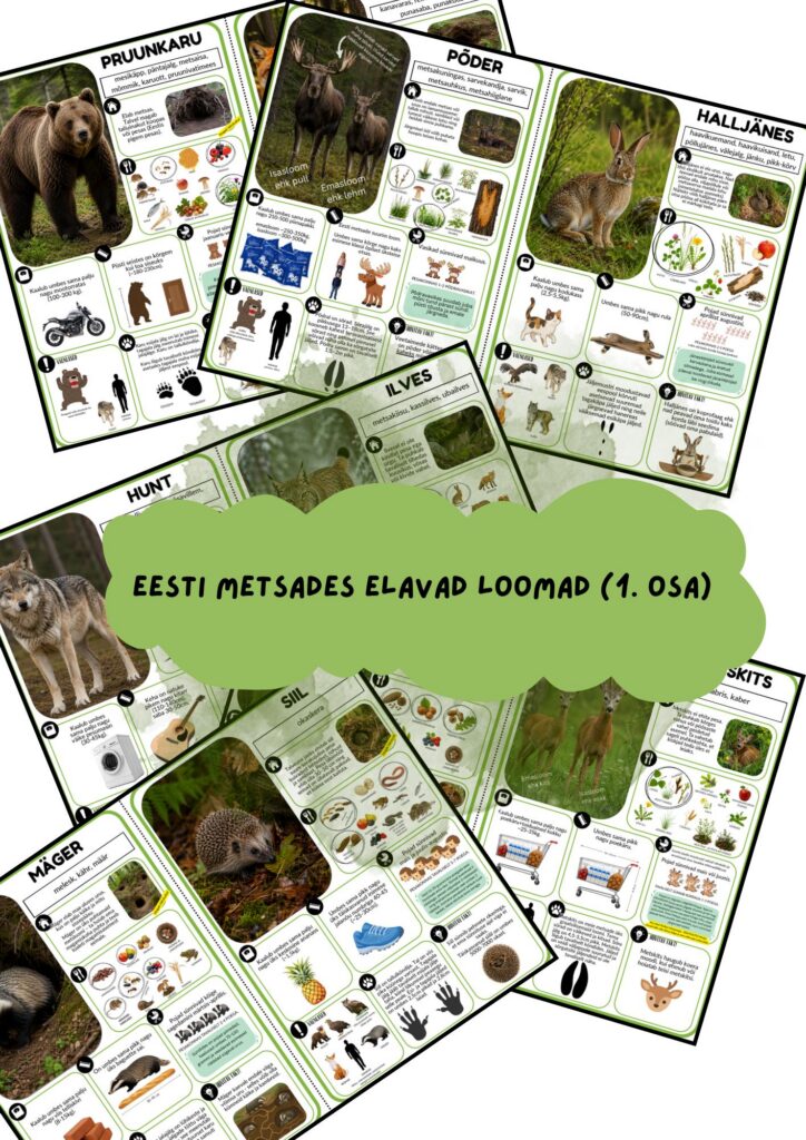 Metsloomad A4 formaat (1.osa)