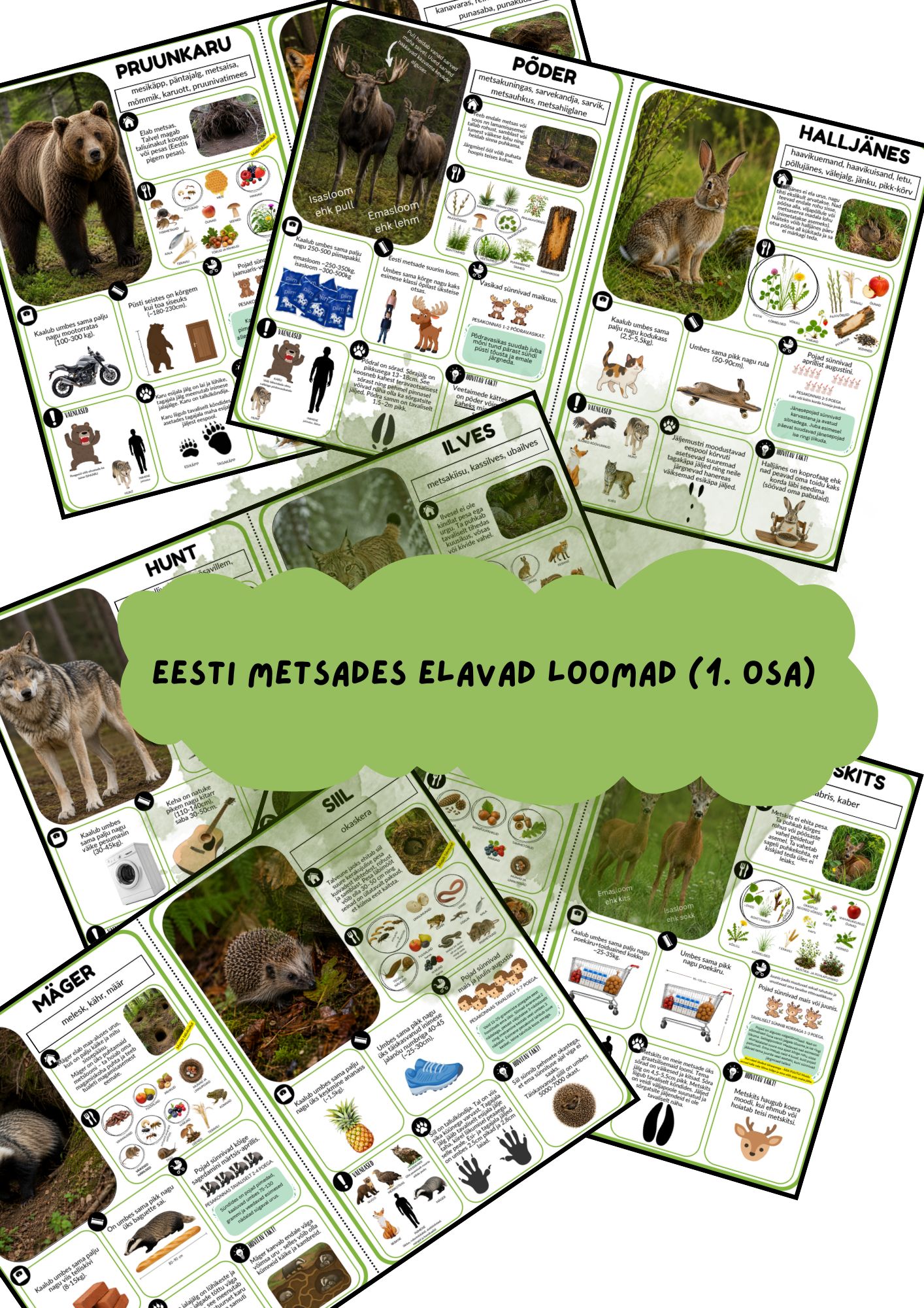 Metsloomad A4 formaat (1.osa)